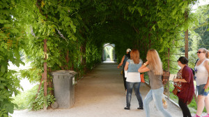 シェーンブルーン宮殿緑のトンネル